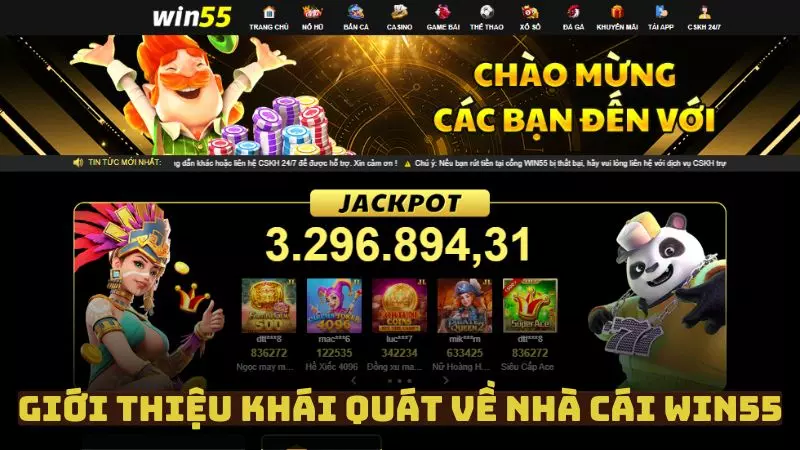 Giới thiệu WIN55 - Nhà cái cá cược đẳng cấp hàng đầu châu Á