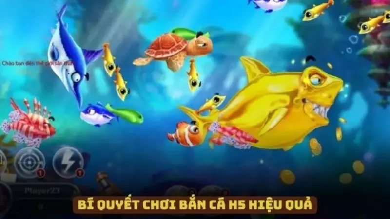Bí quyết chơi game Bắn Cá H5 thắng lớn mỗi ngày