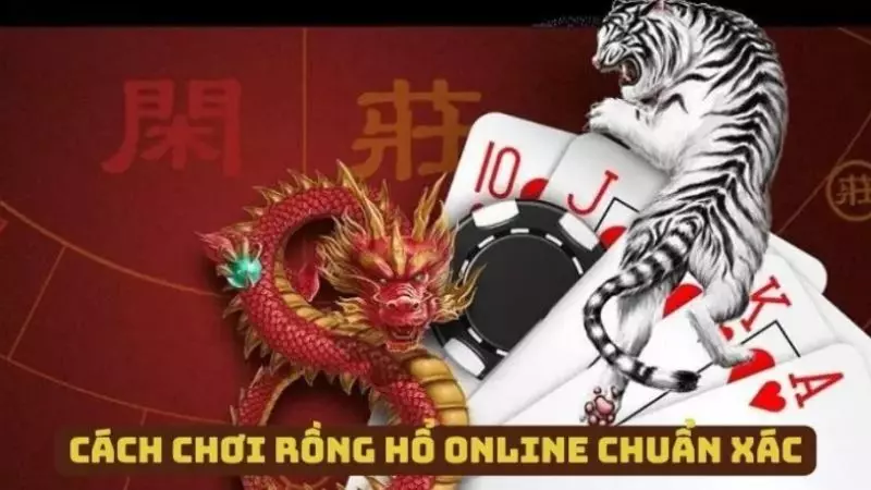 Cách chơi Rồng Hổ online chi tiết, dễ hiểu cho người mới