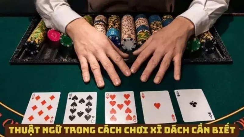 Những thuật ngữ trong game bài Xì Dách người chơi cần biết