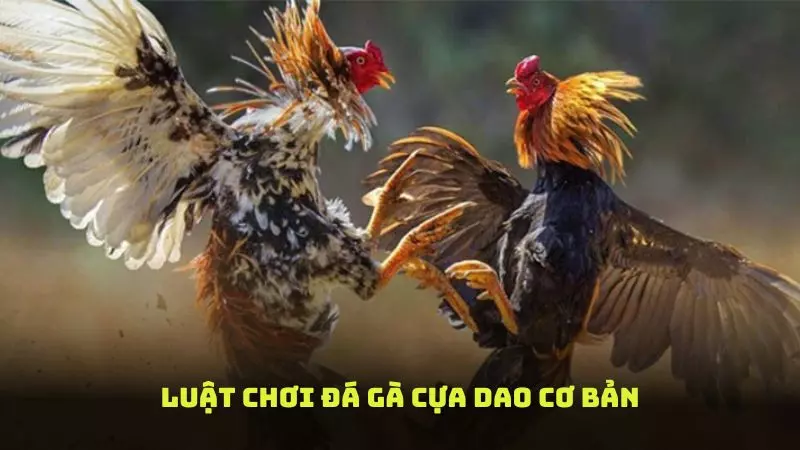 Tìm hiểu thông tin chi tiết về game chọi kê cựa dao