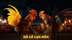 Đá Gà Cựa Đòn - Trận Đấu Gay Cấn, Cơ Hội Thắng Thưởng Cao