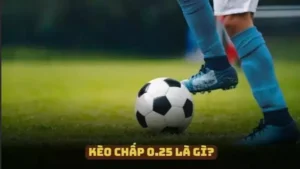 Kèo Chấp 0.25 Là Gì? Hướng Dẫn Đọc Tỷ Lệ Cược Chuẩn Nhất