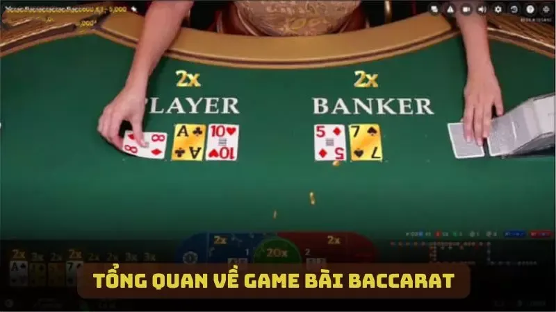Tổng quan về game bài Baccarat cho người mới